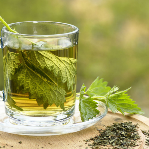 Dishes with Himalayan Nettle