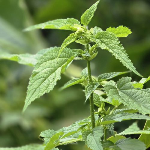 WhatsApp Image 2024-09-24 at 4.42.44 PM